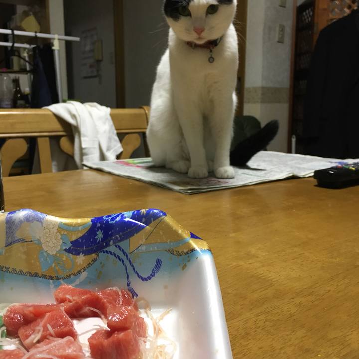 A56358a6 53b2 44b9 b274 837e28593262