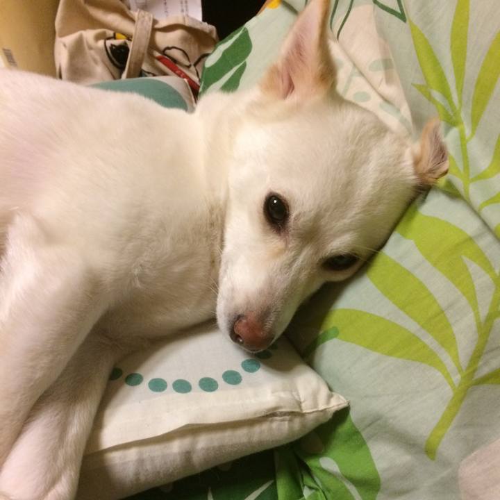 A563f978 51cd 4c7d bd52 7704cd2b3796