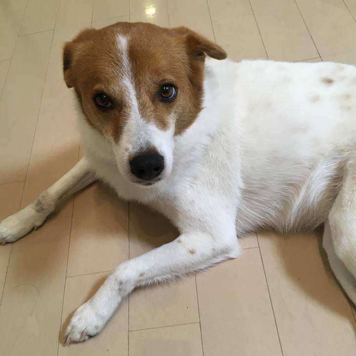 A5646fb7 0773 463d bbfd 1a0fa3dc7888