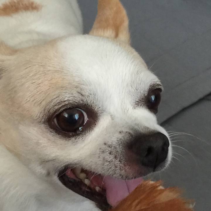 A564f540 cb6d 4409 8caf 92c22df3d527