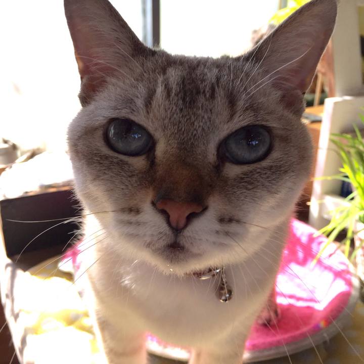 A565107a 6632 4f0c 99d9 448fe9eeea76