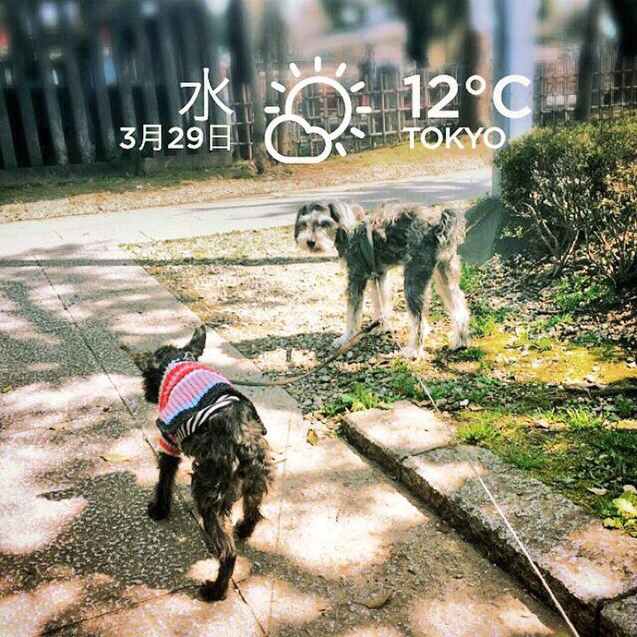 A56527bd 096c 416b b962 1247a8350068