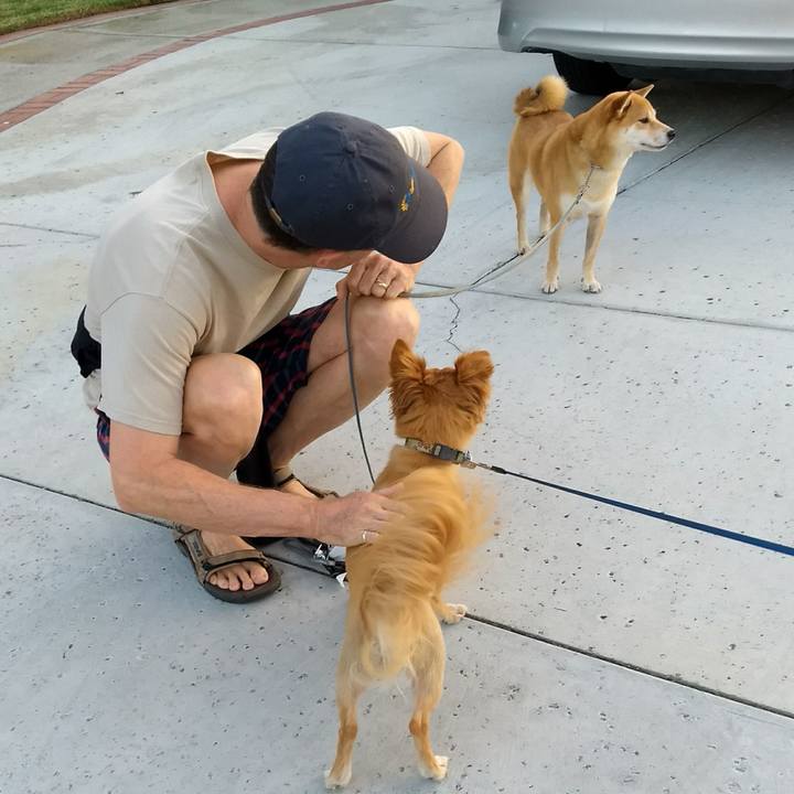 A56547ef d1ec 4f7c ac0e 5ec33cb9ce77