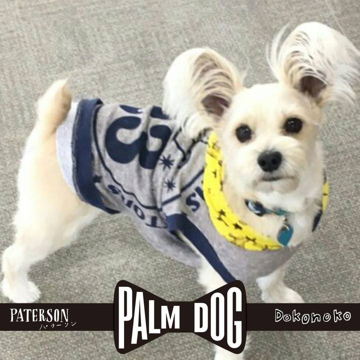 A5655df5 a903 43ca 82bd 6da06a4bebe8