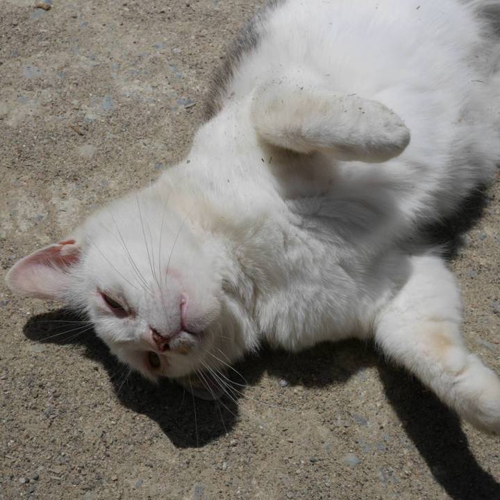 A5656bf8 2585 4197 9cdb d1d9649483ac