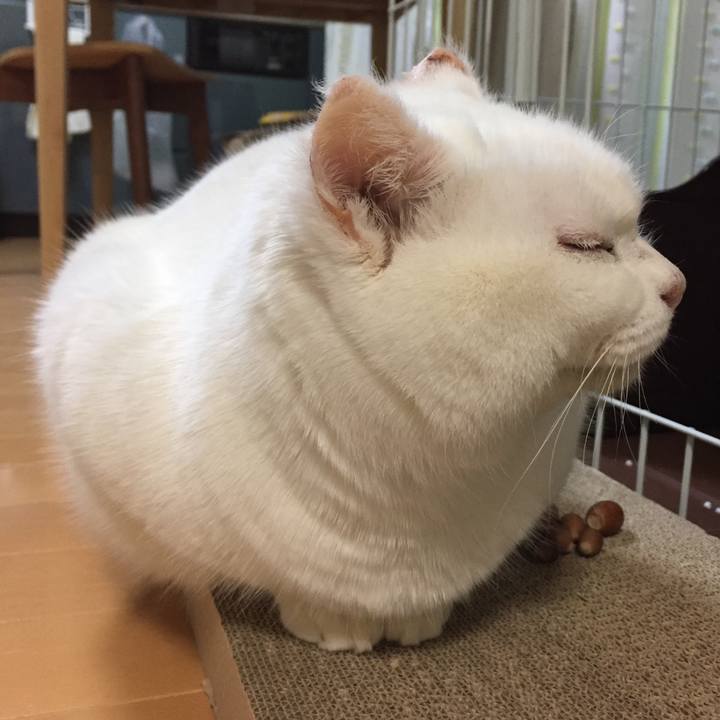 A565a213 d48a 456f a5b7 9fbe9b378258