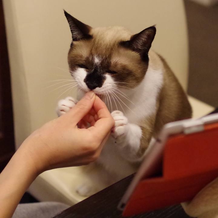 A565eb3e d6c6 42ab 9843 85bad1da5155