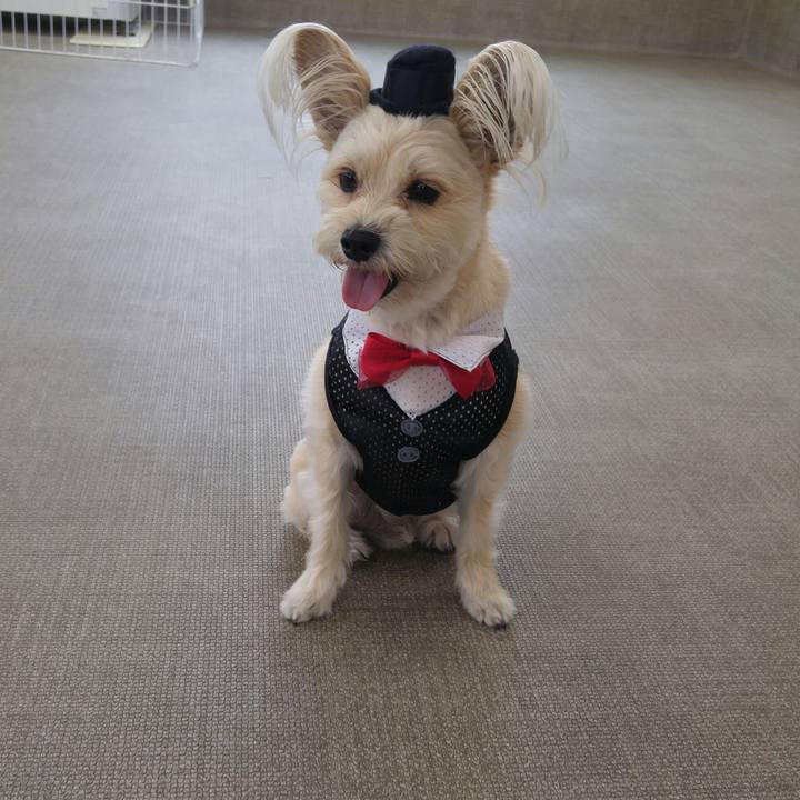 A566dd2b b962 4447 96e4 78880b5b00ac