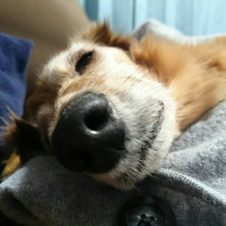 A567356d fd59 46be 9aa6 6f623d2d9886