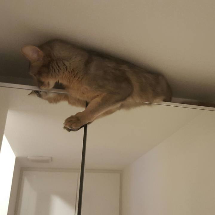 A5674b78 35ed 4fcb 9144 4291f659d042