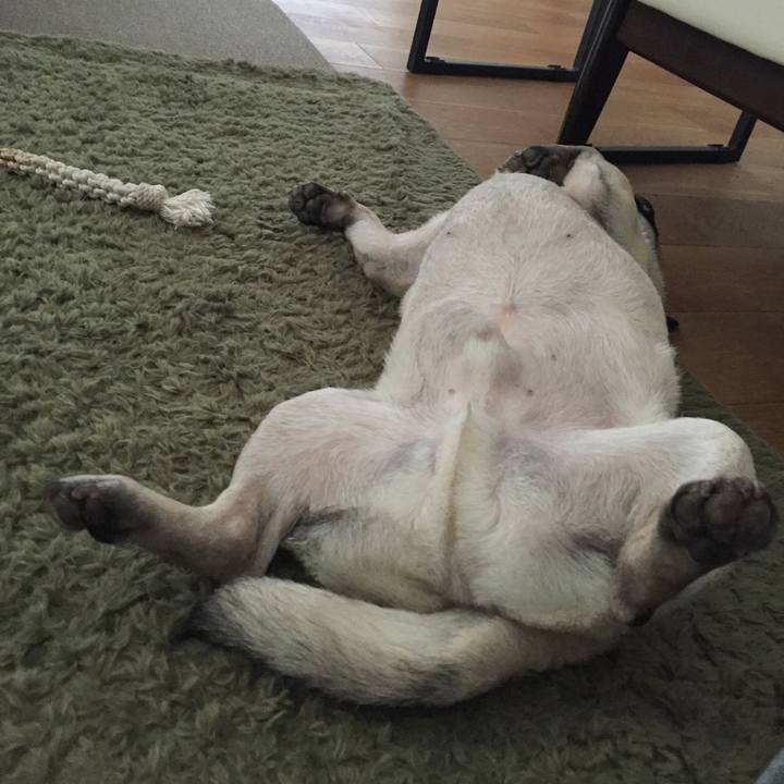 A5680e33 969d 4bdd bc0b 8964c2543fa5