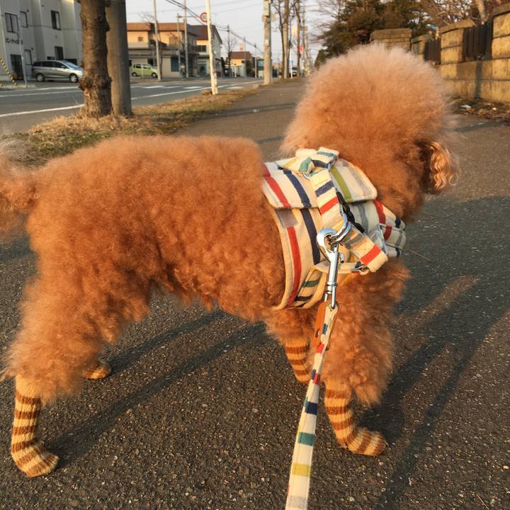 A5688e58 6ba0 4791 a4e1 e8cc81115eb5