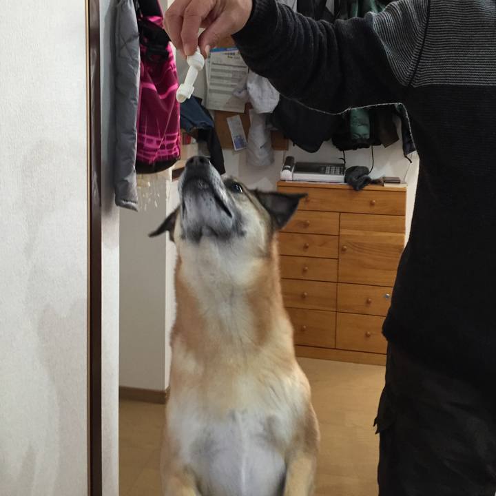 A569031e ff43 4865 bb8f e7090b7cbad2