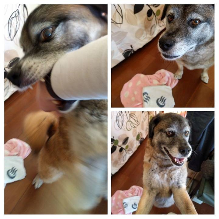 A56a1f37 381e 44d7 b8ec d93fe72f870c