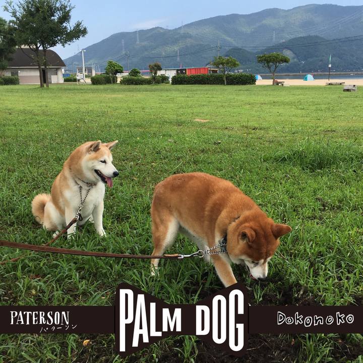 A56a36ae ad4d 4e31 bd2c 434ad3d74d2c