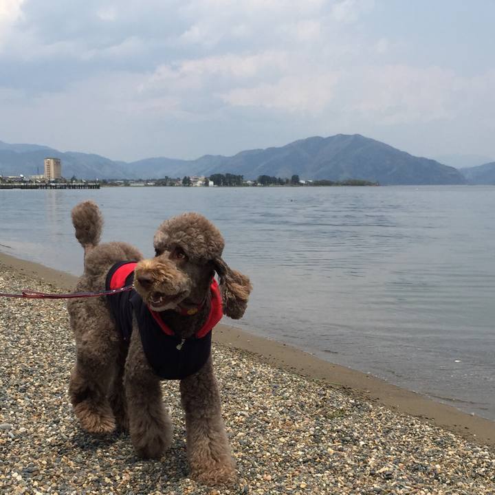 A56a966f a97b 461a a380 9e3f13e8ca17