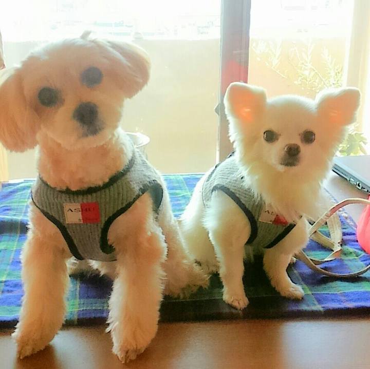 A56b955a cbdb 483d 9ec3 f7006728ed21