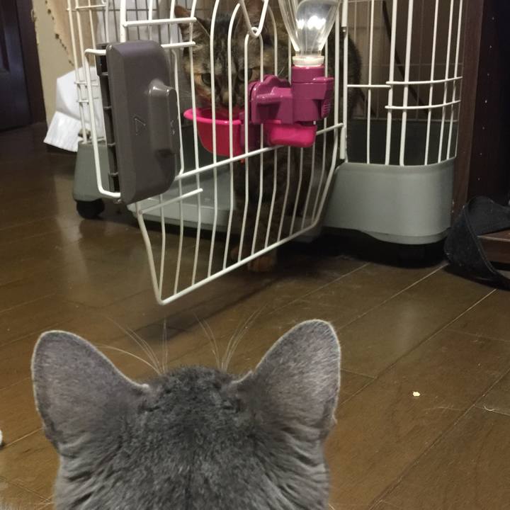 A56c58dc ccf8 46e4 9642 1aacba391275