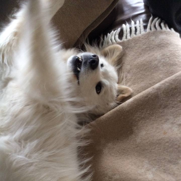 A56c67a6 40fb 4e5f a031 dab1eb39ccb0