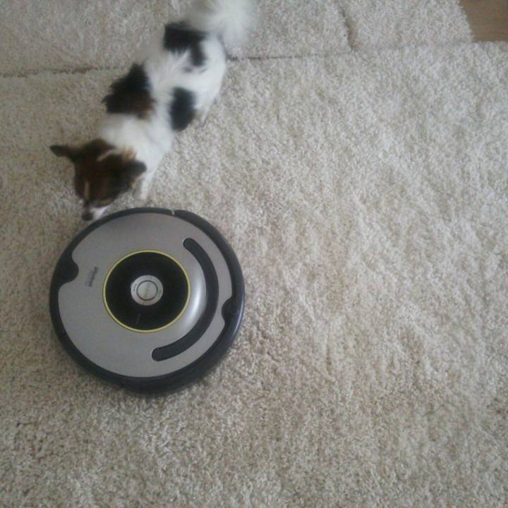 A56cbe62 41ed 4a64 838d f865f66b149d