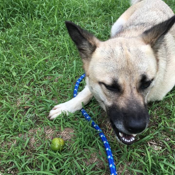 A56cd8fb 91c1 4c36 a050 17c3fefdc68b