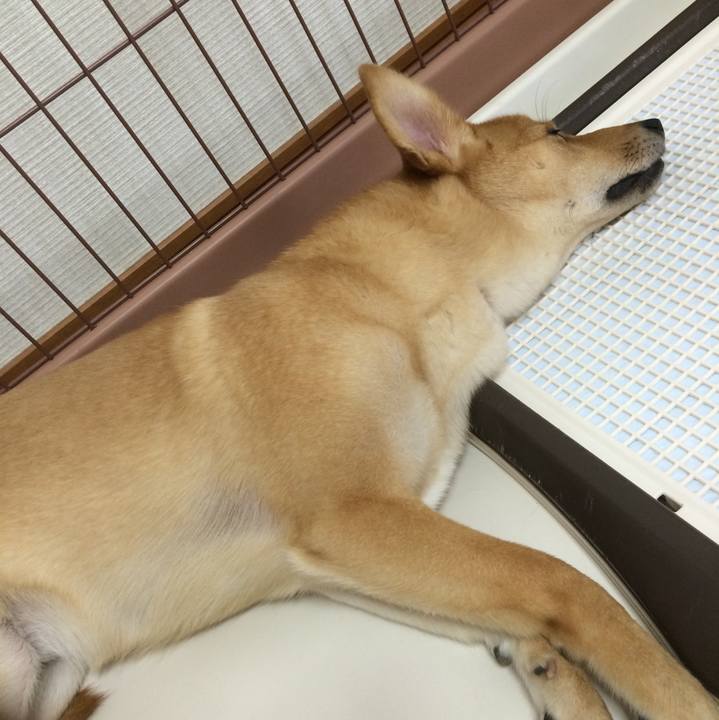 A56dc7a7 8ae5 4f3d ac4b 5f3eb49f1c23