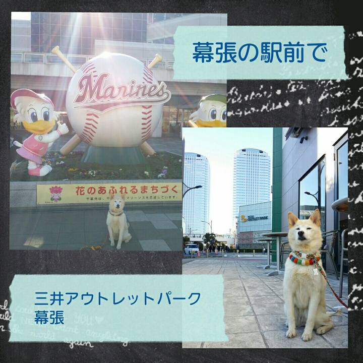 A56e0333 d5d2 4d6a 89c9 1e032e97e7cd