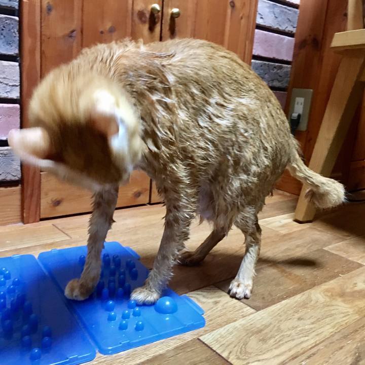 A56e2036 1ef4 43d9 8798 98f15591ab22