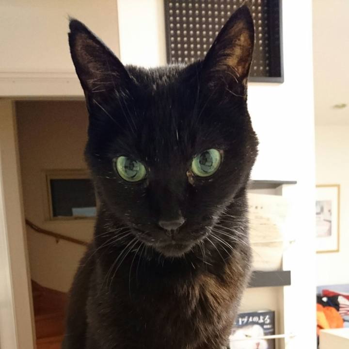 A56e2d6e f0dc 4c8d 8ab0 efc05f008331