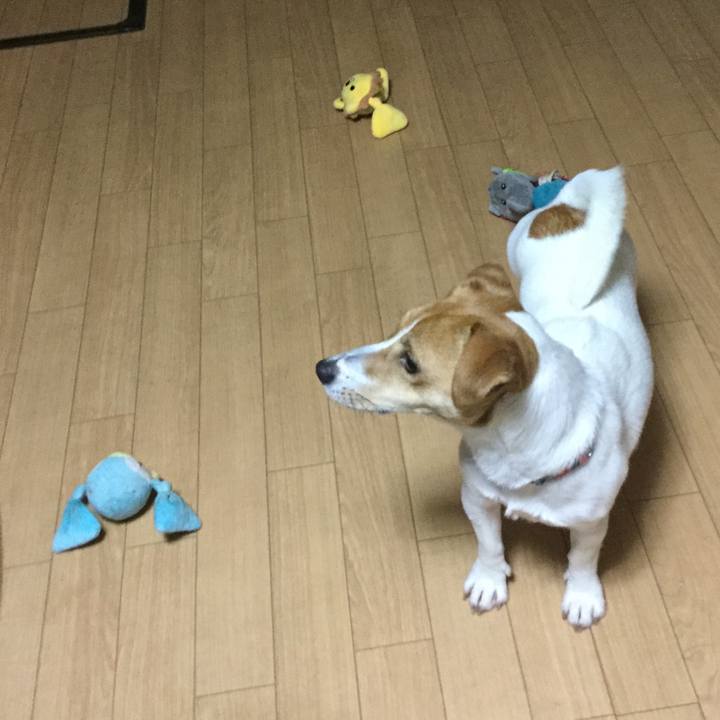 A56fa344 5fb8 4c4a 86ac 0183b4b4b9c3