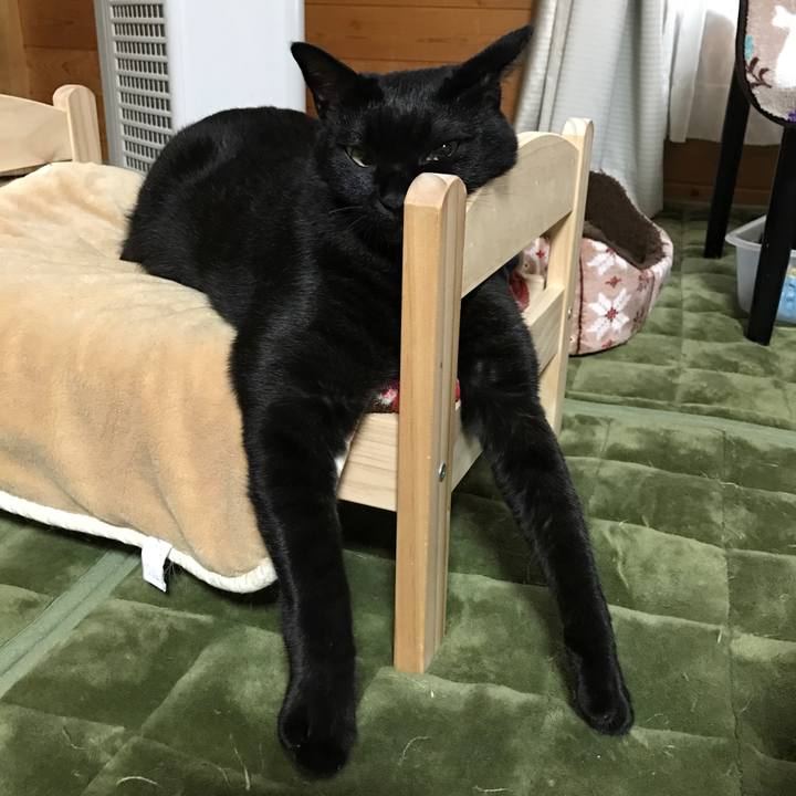 A56fb231 c233 44e6 815e 5d56ae8e2585