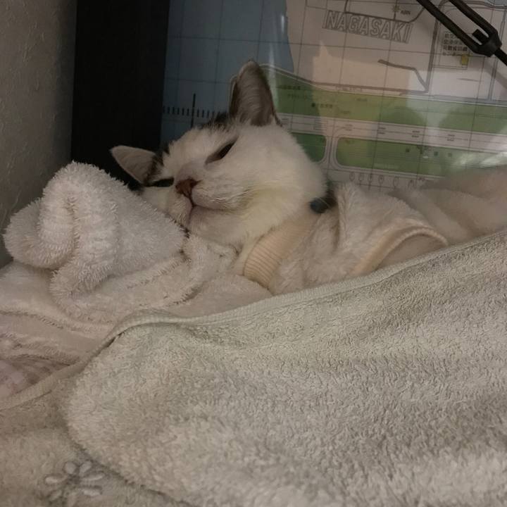 A56fdfa4 b642 46b6 b686 0d60e3f44da0