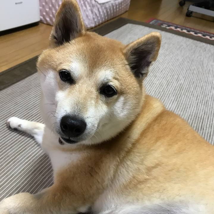 A57154b9 dd63 4ce3 bb18 319a5c453925