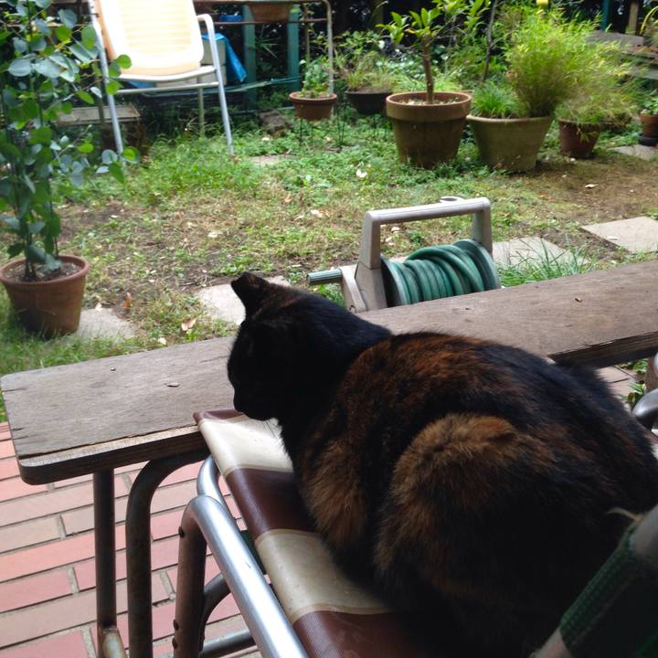 A57268b6 ea93 4f21 b110 46b8816cdfcd