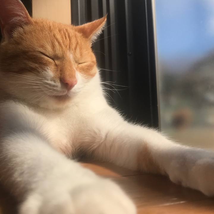 A5734c21 4bb0 4997 bf42 d2c668fbdec7