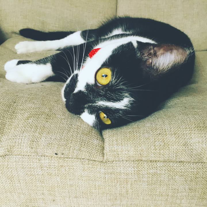 A573a005 f424 4a5a ae6d 79bcda525219