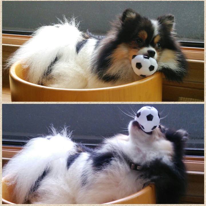 A573db0e d6aa 45e6 a280 b43f2bc663a5