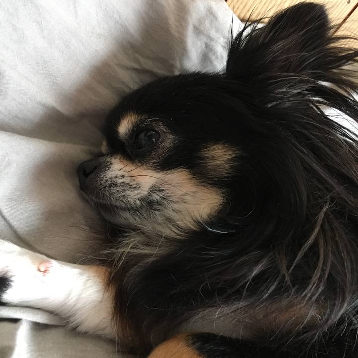 A5744763 b628 47af bed9 9f43b4da703c