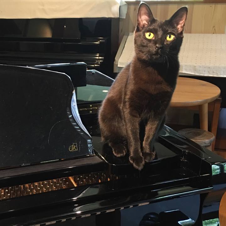 A574df3b 175b 403c 8fda 581fdb799c11