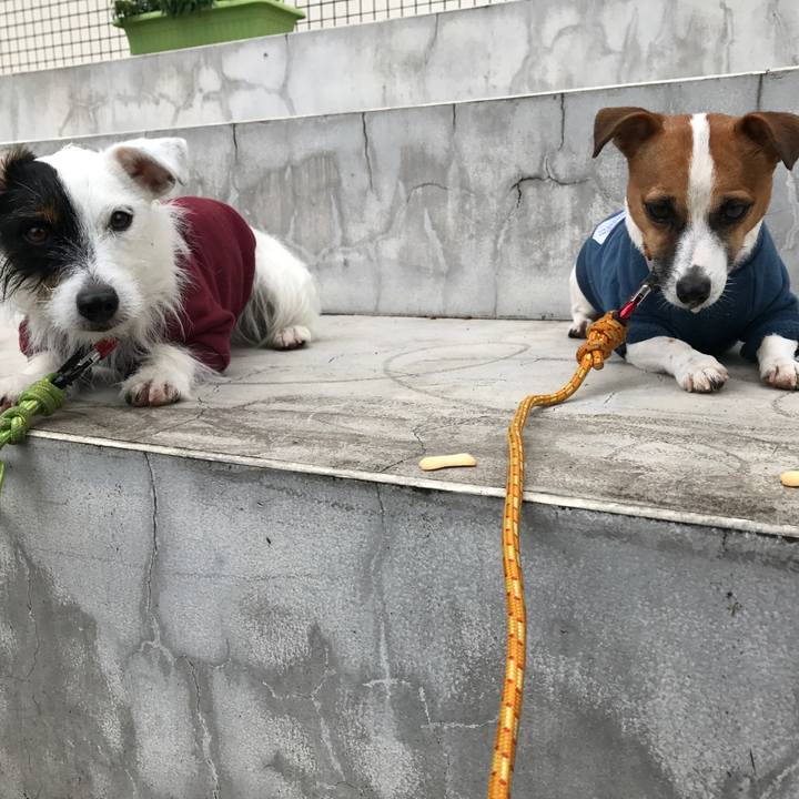 A574f17a 383e 4041 9aed cce8bc11c96a