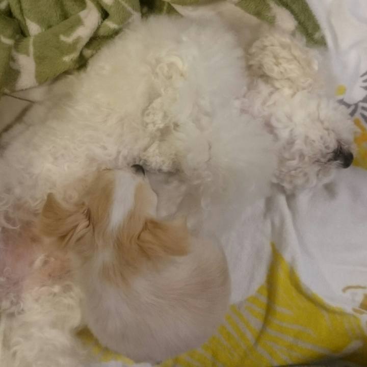 A5751e37 7cfa 4a0e 8915 da16811c0bb8