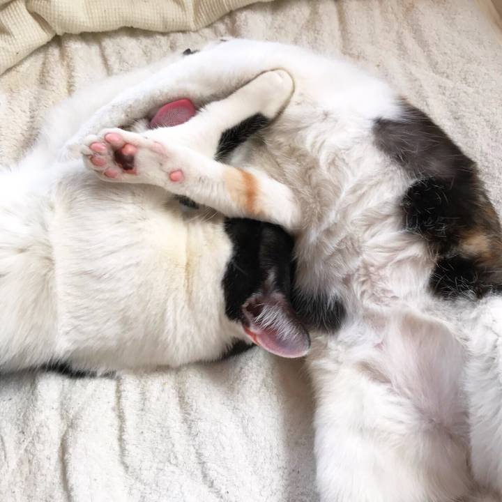 A575401c 79c3 41db a470 7e7ddabda13b