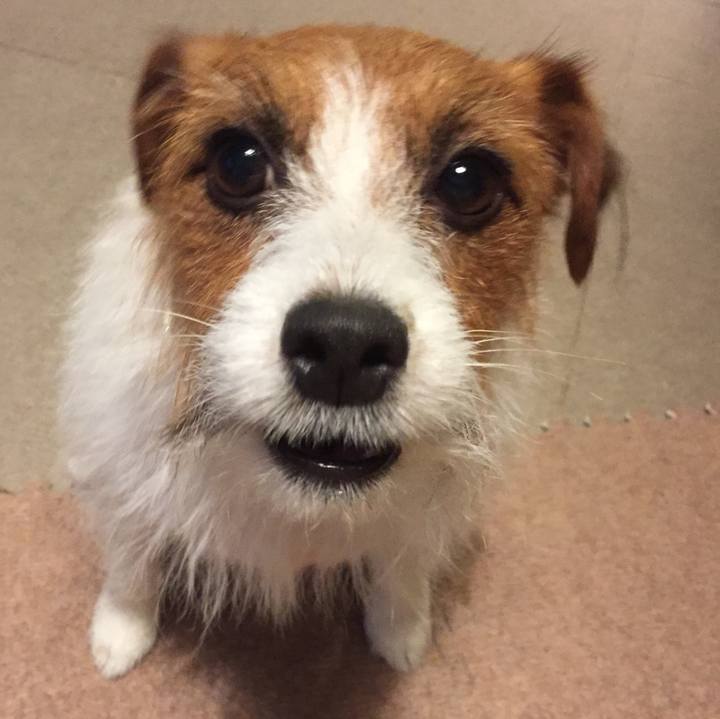 A5761126 6bd2 4fef b3bf e9dd5fc383e3