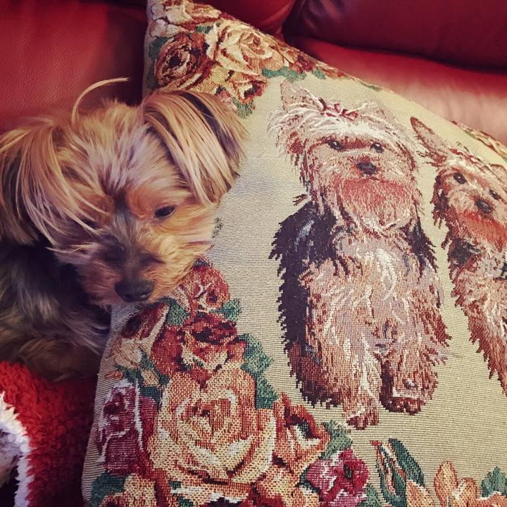 A576230e f616 4ff4 b011 f2984f648b5c