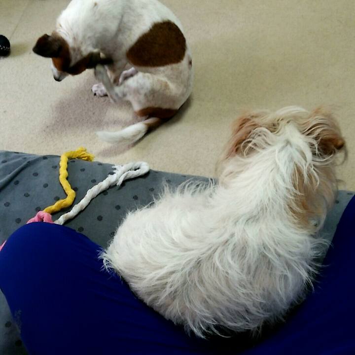 A577bd3d 84ab 448b a810 4b263be0f037