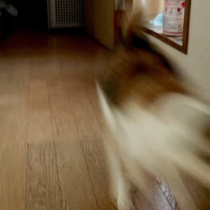 A577e2b1 5cf7 416f 9e57 47247a8c55cd