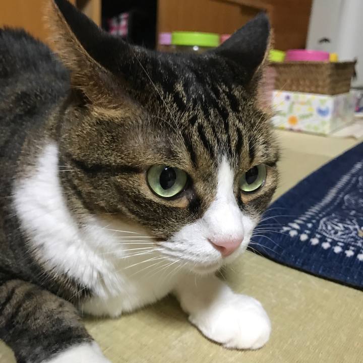 A57833e1 4d85 417f b0bc 6c757b7bbd9f