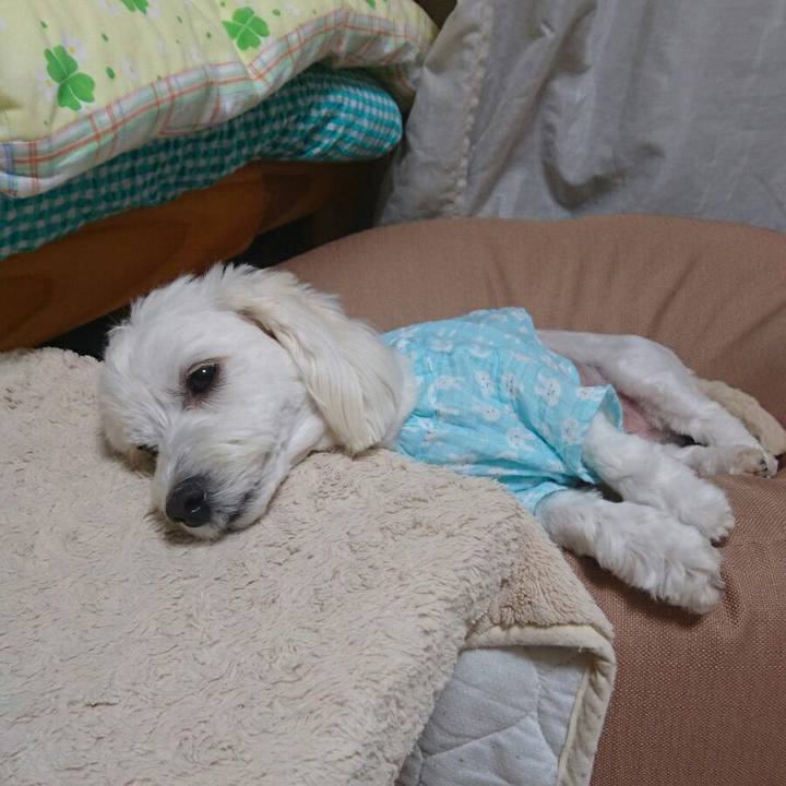 A578ad1f 5c2a 47b9 ad18 2d561f25aa0b