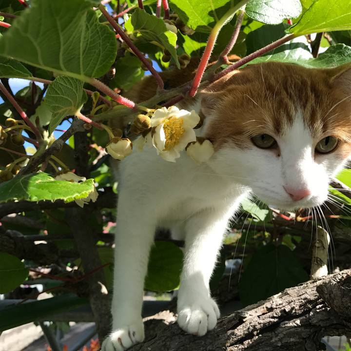 A578ea28 202a 47b4 ac13 3d42babe9e69