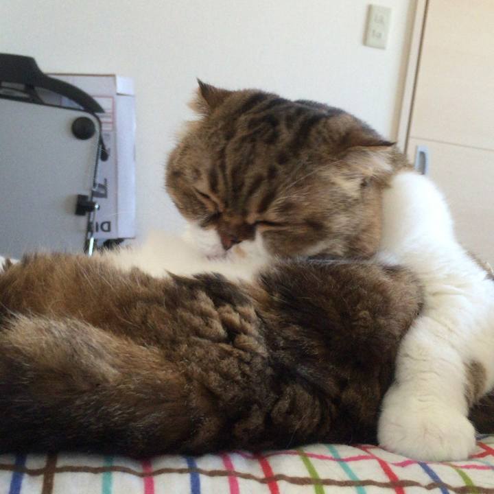 A5790b67 5ce5 46db aff0 12679f707a3b